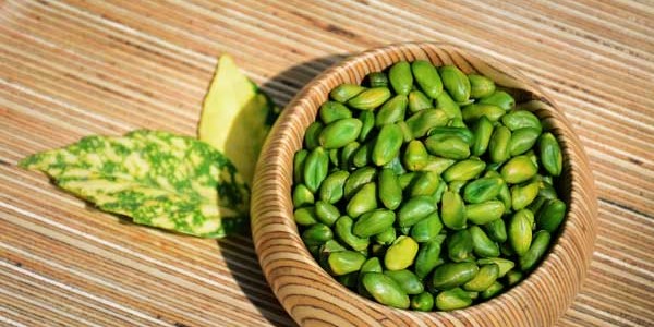 تصویر 5 از خرید و قیمت مغز پسته تازه + فروش صادراتی
